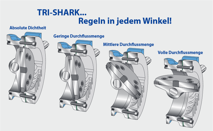 twi-shark-winkel
